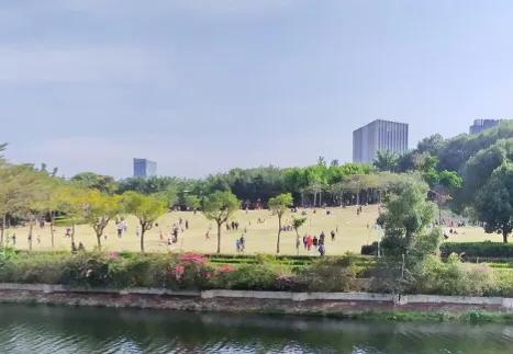 深圳十佳免费湿地公园,深圳十大免费公园排行榜最新名单