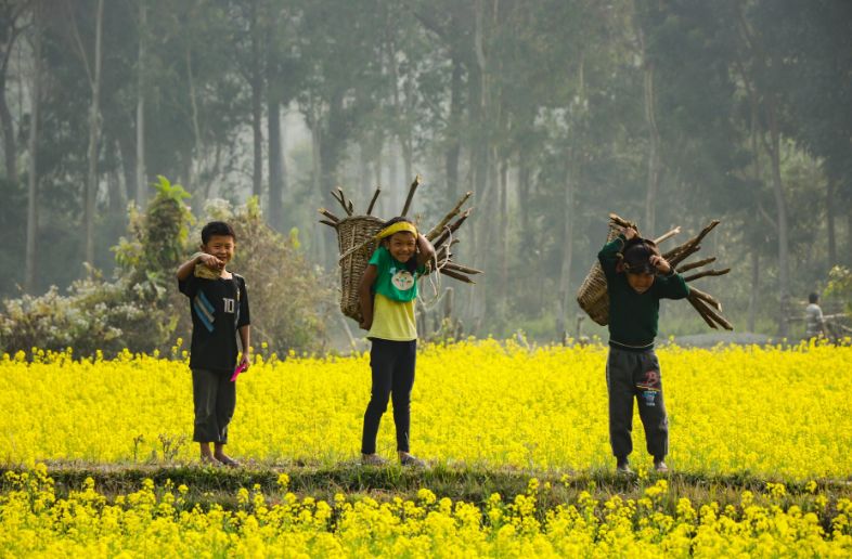 王源气候博主,王源植被
