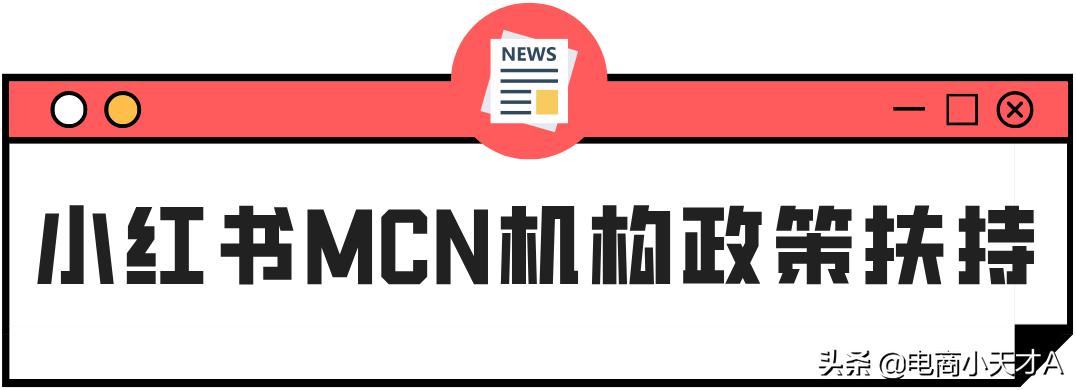 小红书mcn机构是做什么的,小红书mcn机构