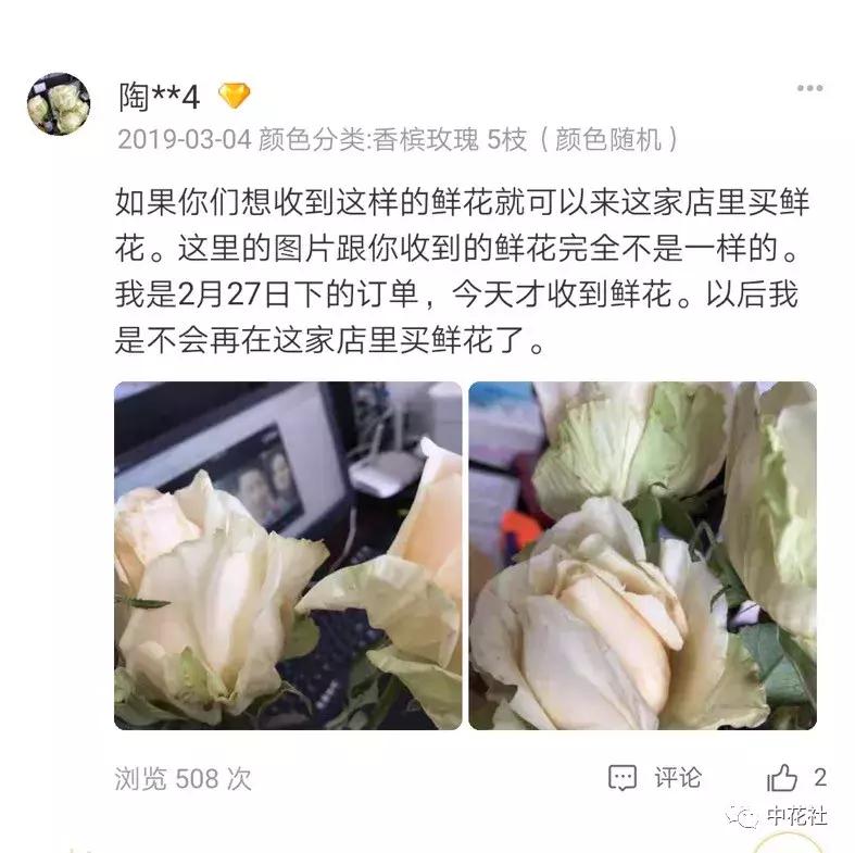 门客的进阶指南,门客有必要全部上阵吗