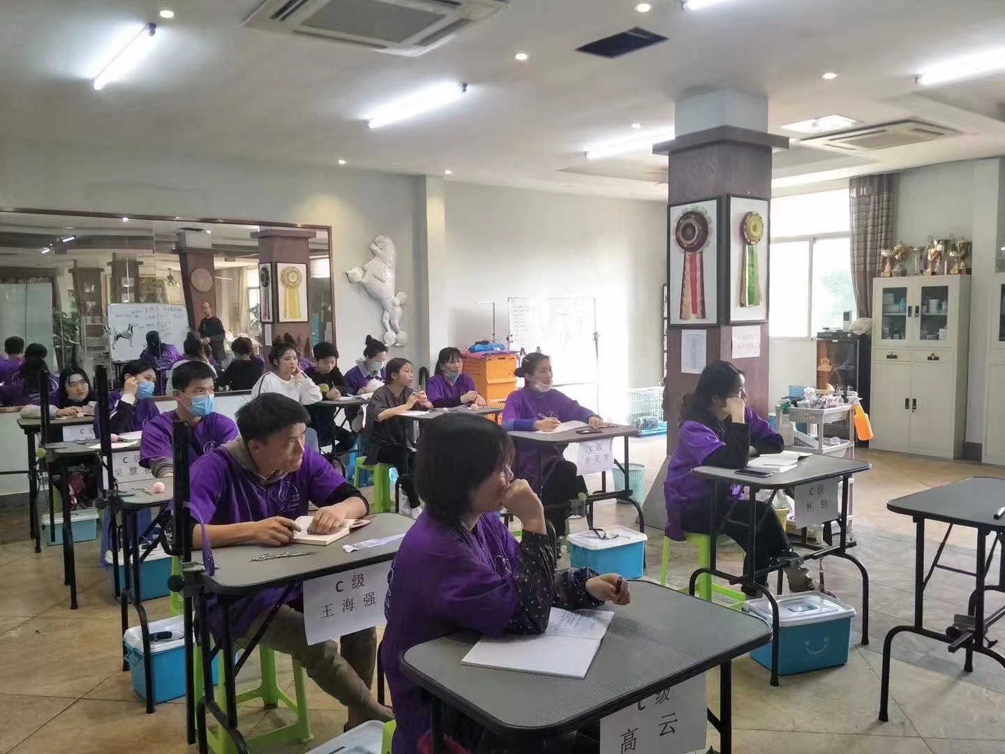 福宠展宣传视频大全,福宠展哈士奇