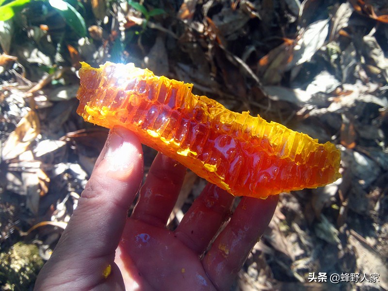 天然蜂蜜的成分是什么糖,纯天然的蜂蜜营养价值