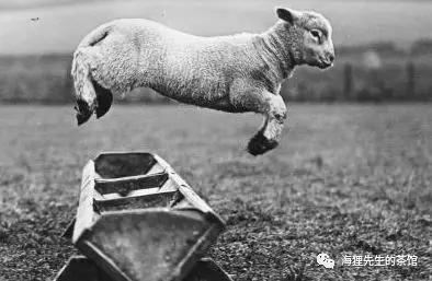 家居建材行业未来趋势,中国建材行业的未来