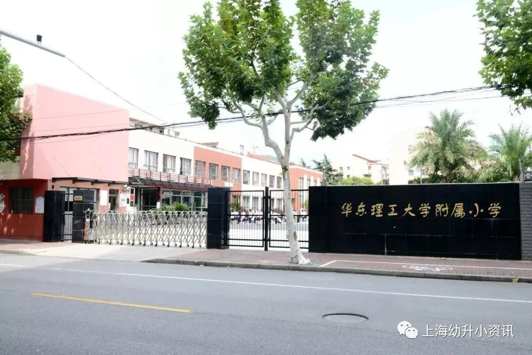 上海十大民办小学排名一览表最新,上海全市招生的民办小学