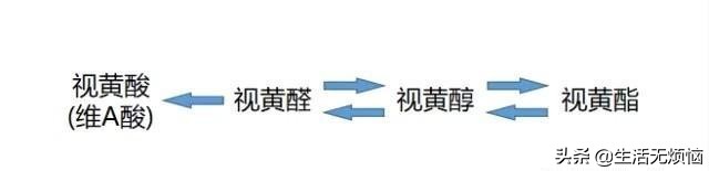 护肤品别乱买，注意4类王牌成分：所有肤质都适合，也太好用了吧