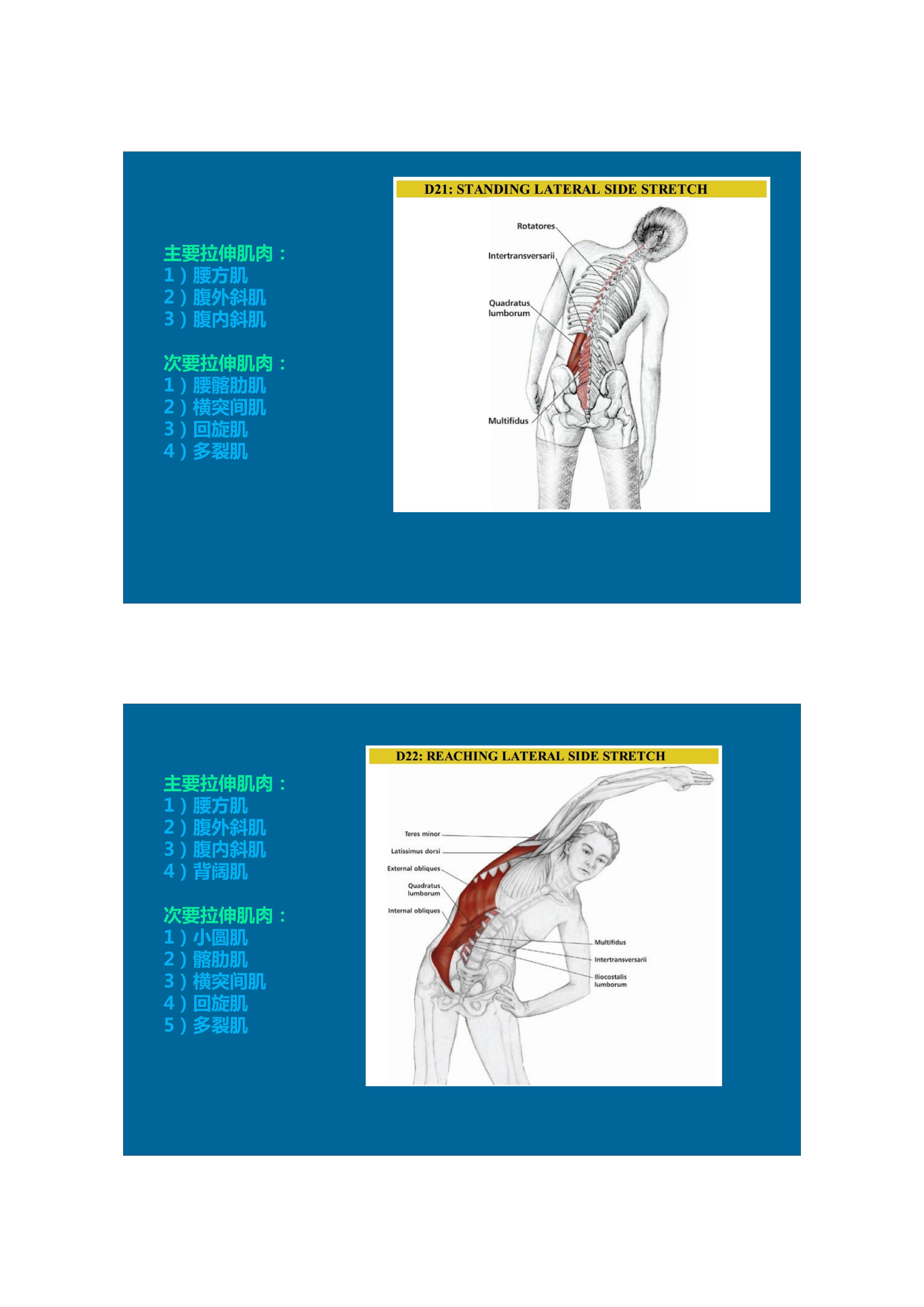 1分钟拉伸动作视频,拉伸腿部技巧