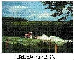 化学初中酸碱盐教学视频,九年级化学酸碱盐知识点