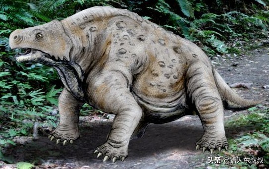 世界上十大恐龙排名英文解说,最厉害的恐龙十大排名