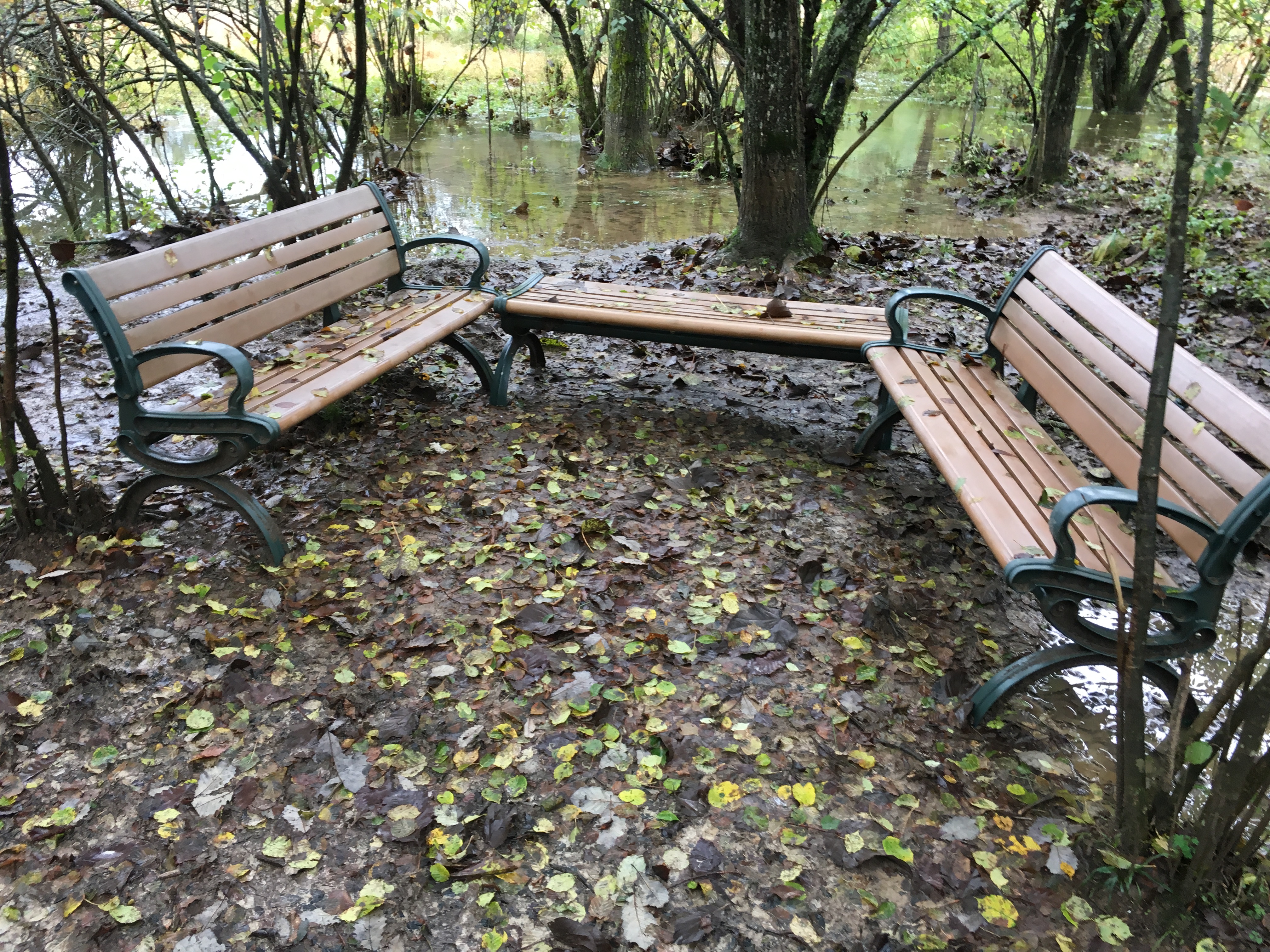 雨中神农架探秘之旅｜国庆节武汉至神农架自驾游攻略分享