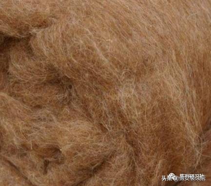 50种面料知识每天分享一集,50种服装知识