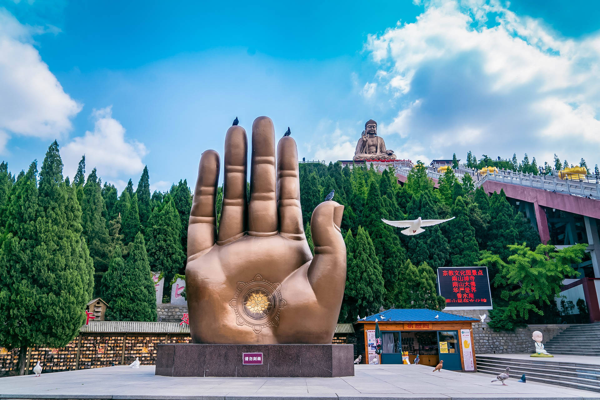 龙口锡青铜大坐佛,龙口全国第一大铜佛