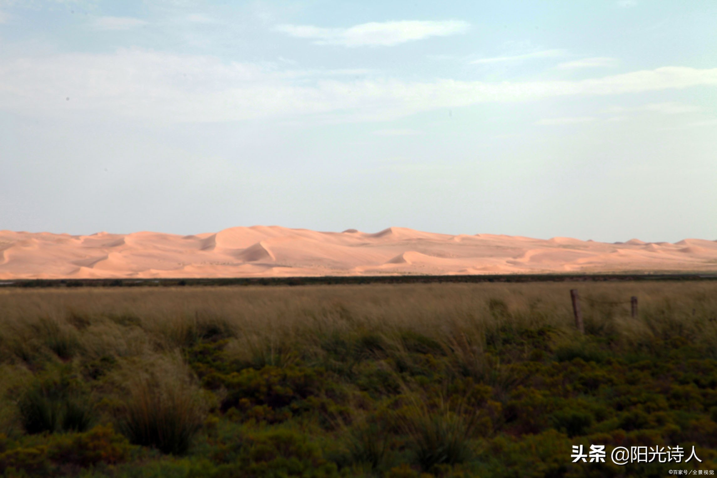 我在阿拉善高原行走（长诗）