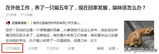 如何对宠物进行托运？其实并没有想象的那么难！关键是要走对流程