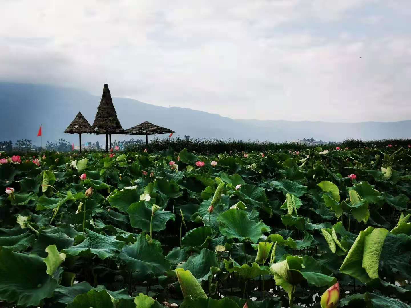 云南曲靖陆良县是贫困山区吗,曲靖陆良发展怎么样