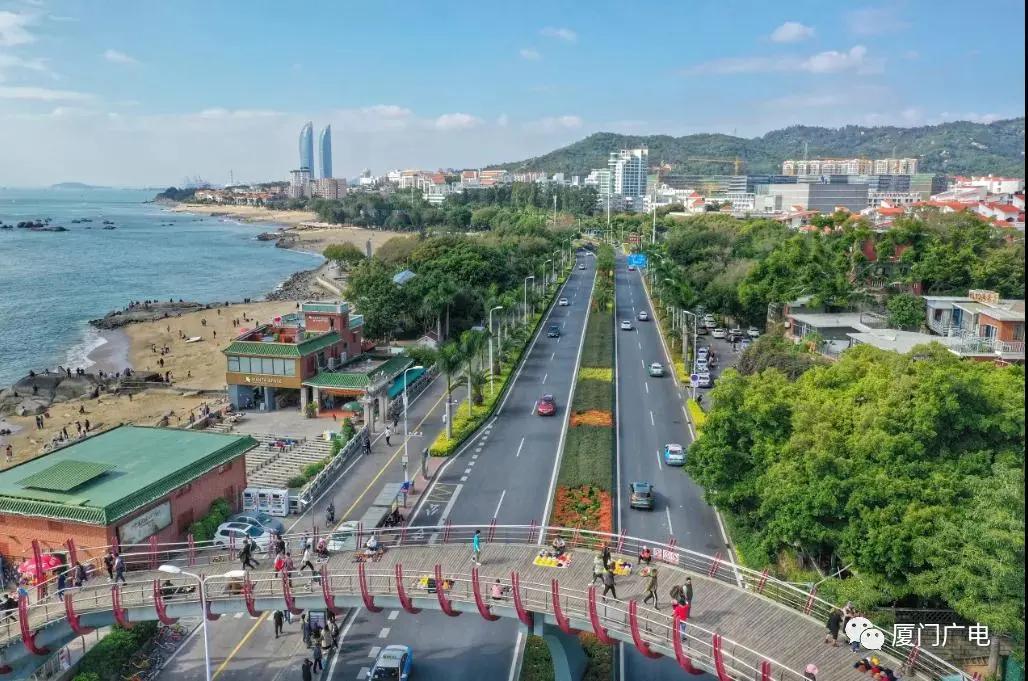 直奔厦门,厦门夏日旅行攻略