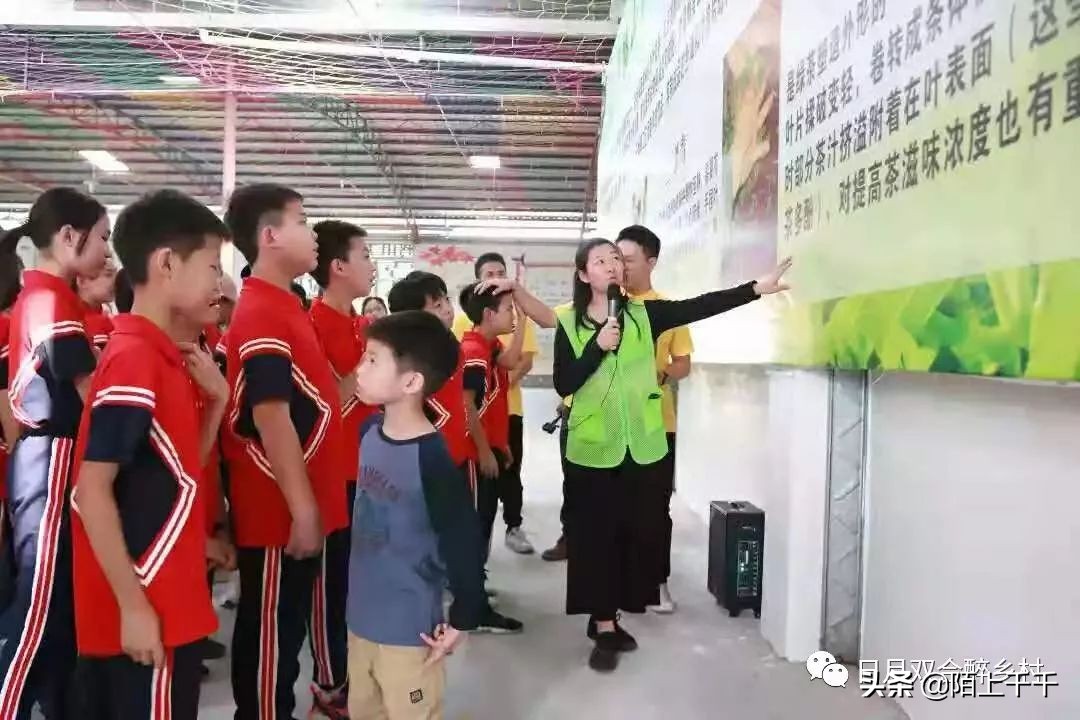 鹤山网红打卡地景点,鹤山网红打卡地