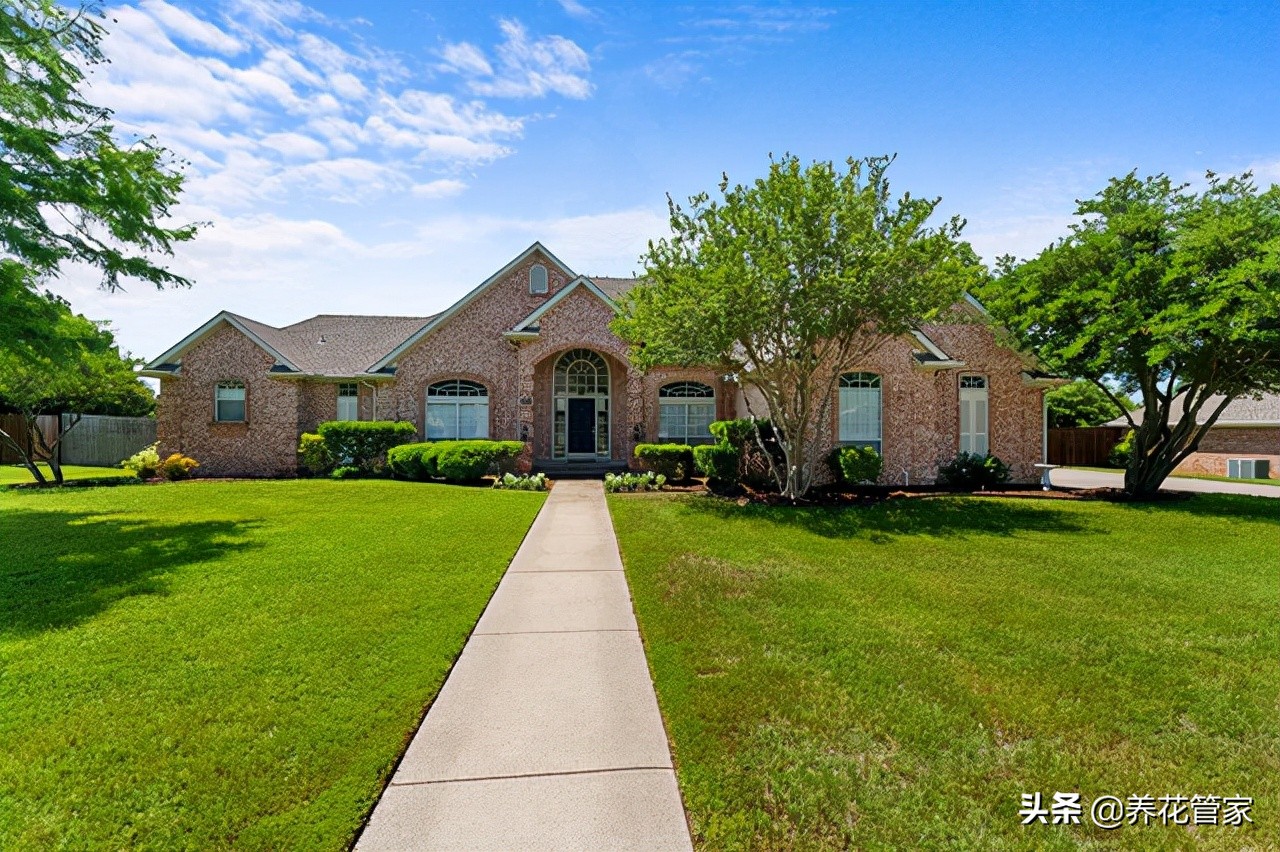如何养护草坪一年四季都绿,庭院草坪的四季养护管理