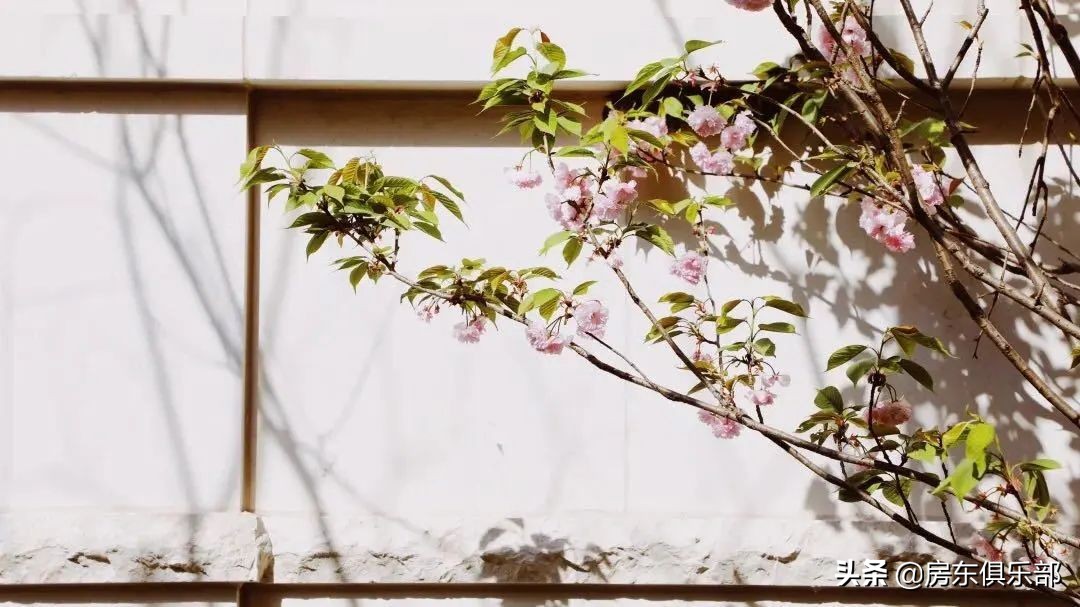 郑州第一批高层豪宅,郑州豪宅最新消息