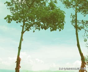 适合大班的好玩的手指操,好玩音乐律动手指操