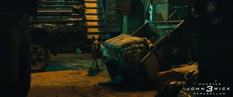 好爽！这绝壁是今年最佳R级片