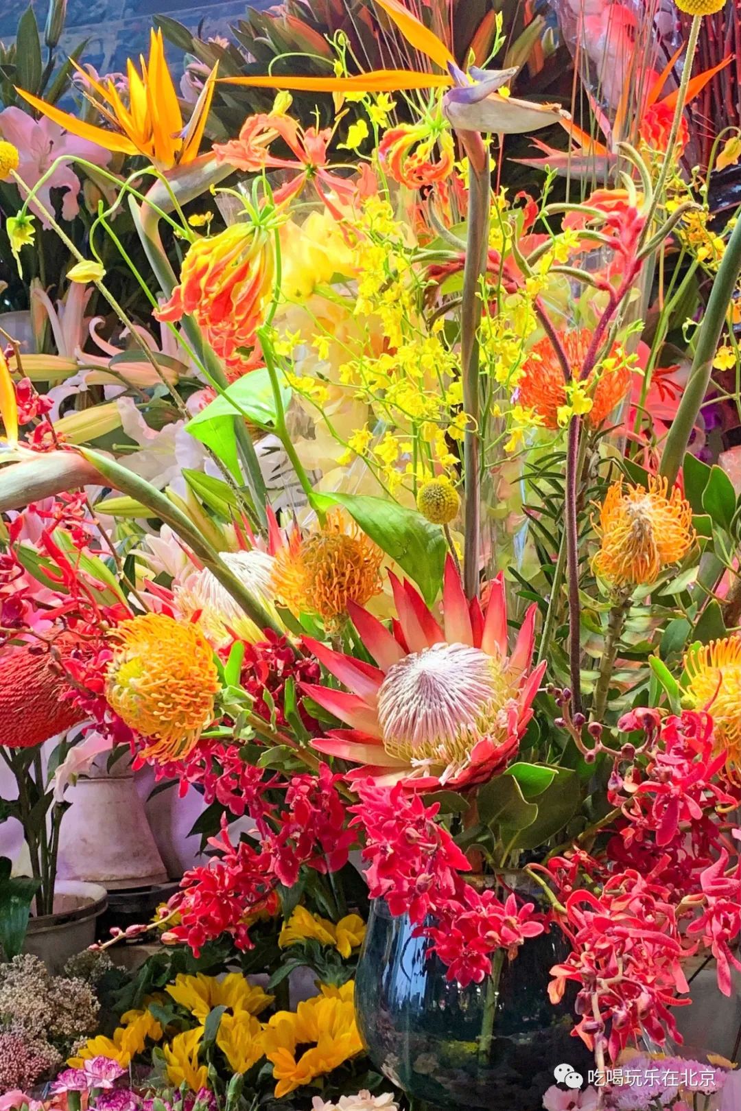 北京崇文区西花市大街,北京通州花市在哪里