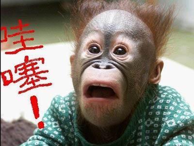 用烟酰胺脸毛会越来越长吗,烟酰胺停止使用脸上的黑毛会好吗