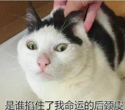 “我用拼多多丢人吗？”网友回复：不丢，国美特香！