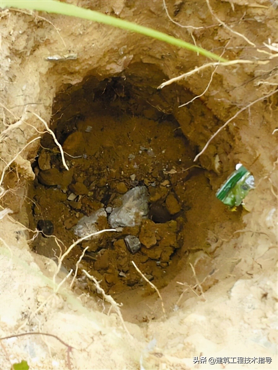 景观绿化提升项目施工技术方案,绿化种植施工方案范本