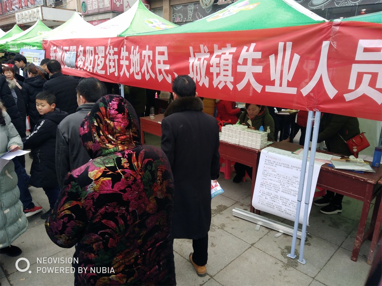 武汉市江夏区招聘最近,武汉新洲招聘网最新招聘