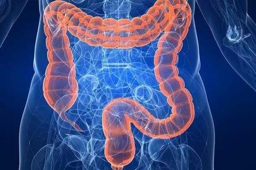 营养师对肥胖的管理,营养师讲肥胖危害