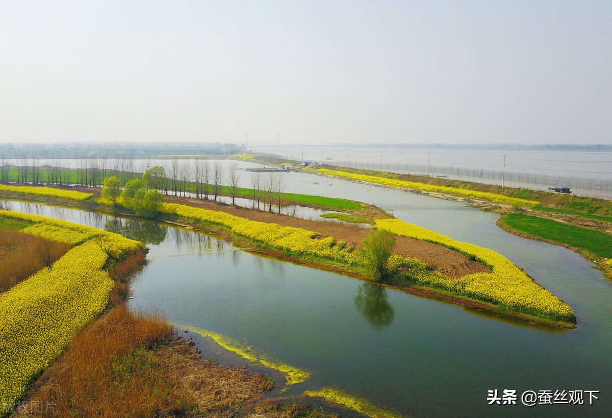 如皋长寿之乡的秘诀,世界长寿之乡江苏如皋