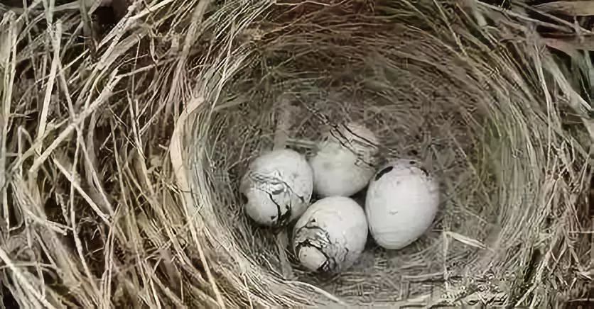 小时候家里没有暖气,小时候没暖气