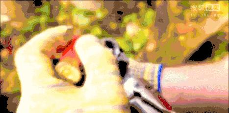 盘点电影中的花式开锁,电影中的一枪开锁在现实能做到么