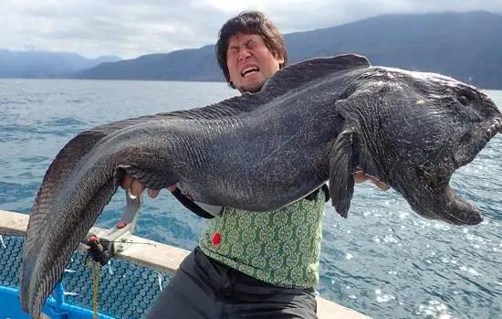 日本核废料对中国海鲜有影响吗,日本福岛核污水影响中国的海鲜吗