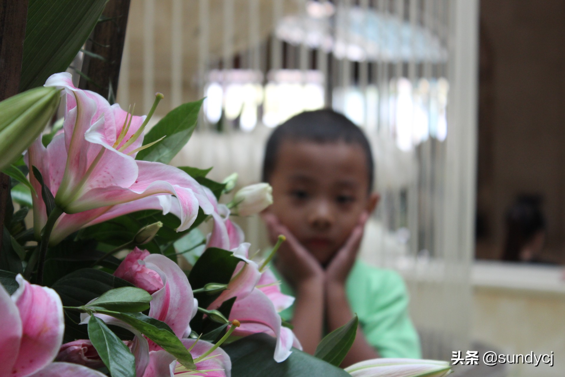 小奔奔,长安新能源奔奔自驾游西藏