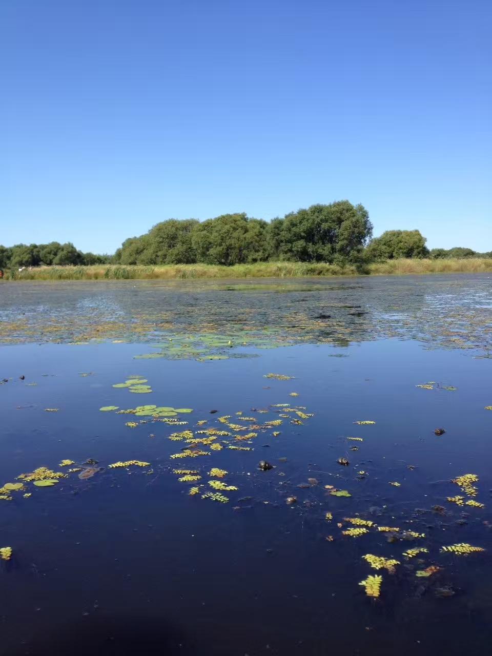 黑龙江五一去哪里玩适合自驾游,黑龙江五一游玩好去处