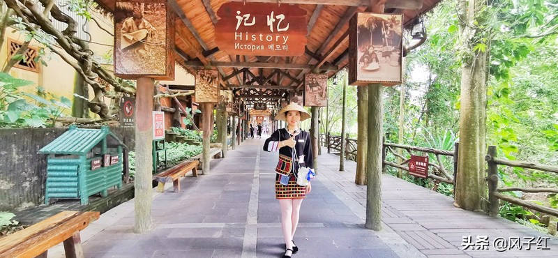 三亚这个用一难吃果子命名的地方，见血封喉皮做衣服，妇女都纹面