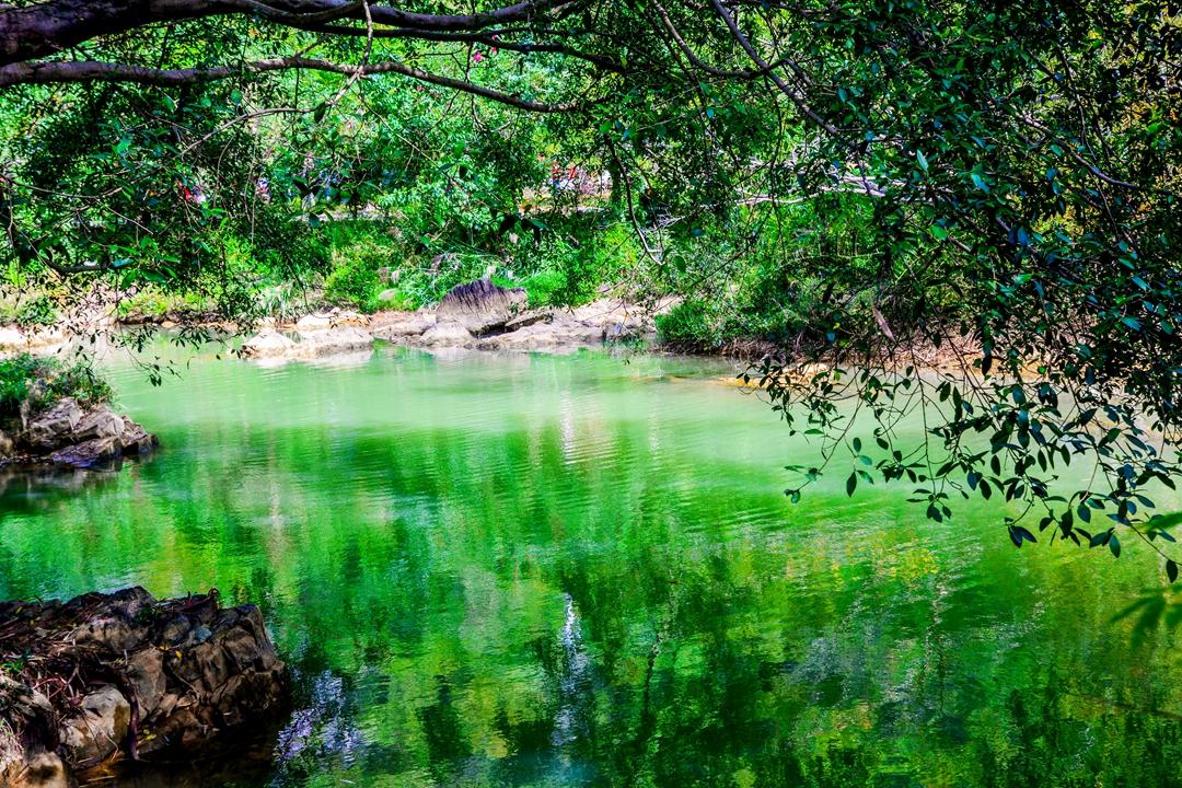南宁有哪些有名的风景区,广西长寿之乡风景区