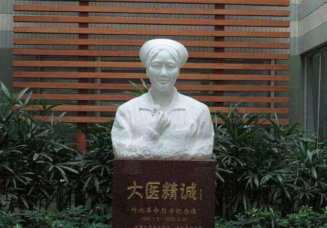 叶欣武汉,非典医护人员叶欣