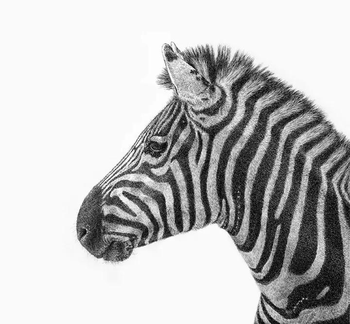 小央美水墨画作品欣赏,小央美人物画