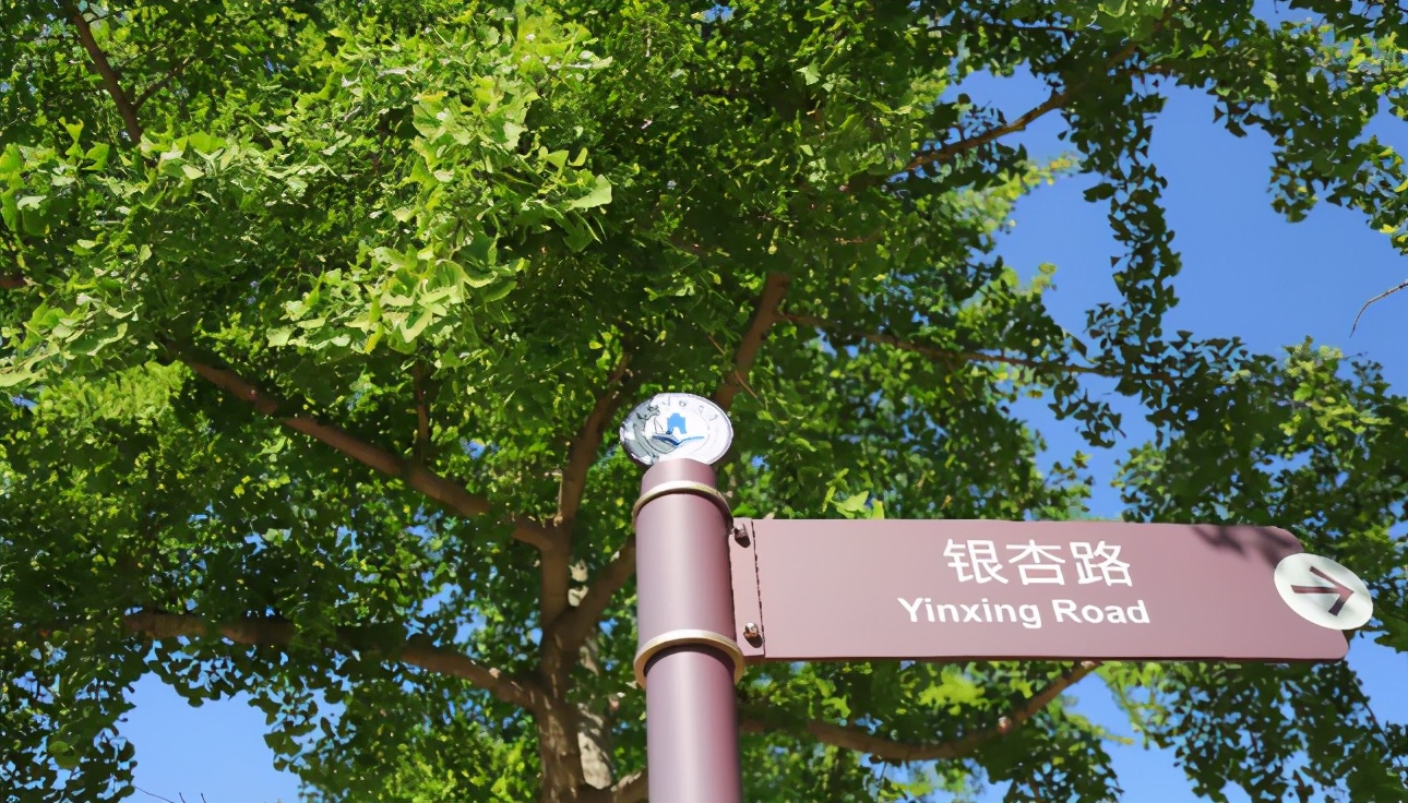 东北财经大学,一所实力不输211的老牌名校