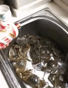 在野外发现甘蔗,在山里发现甘蔗