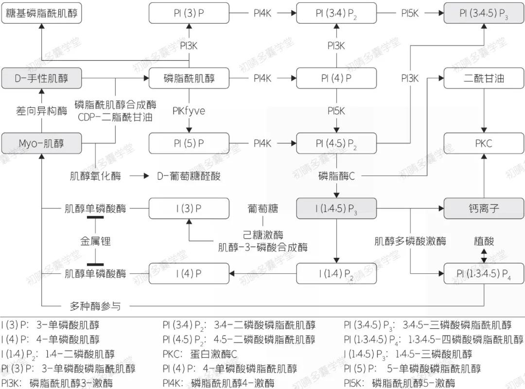 没有多囊能吃肌醇胆碱吗,不是多囊可以吃肌醇吗