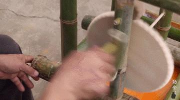 爷爷版李子柒视频评价,农村小伙子李子柒视频