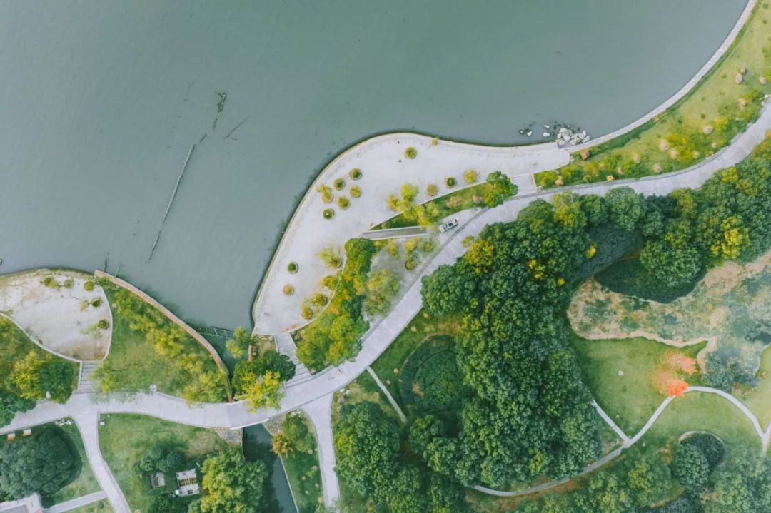 你一定没见过这样的新中式,东方绿舟特点