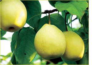 理综学霸必背口诀,高考学霸分享理综答题顺序