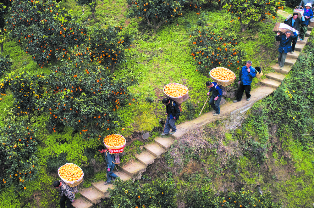 拼多多618数据趋势,拼多多618爆发原因