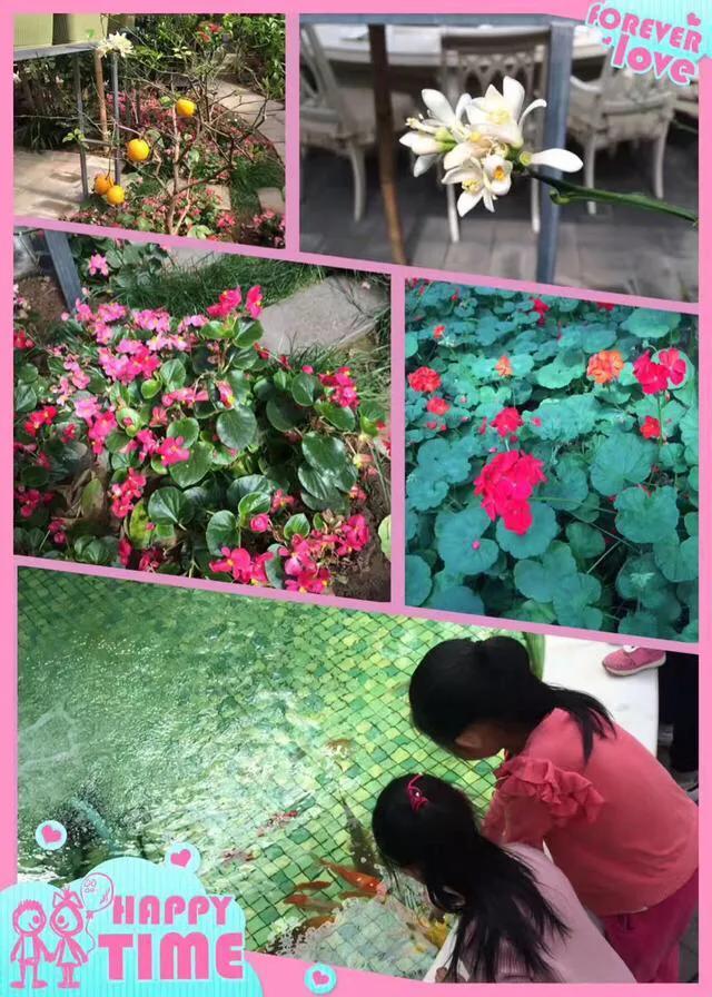 周末可以采摘可以玩的地方,五一不用去淄博可以吃到的烧烤