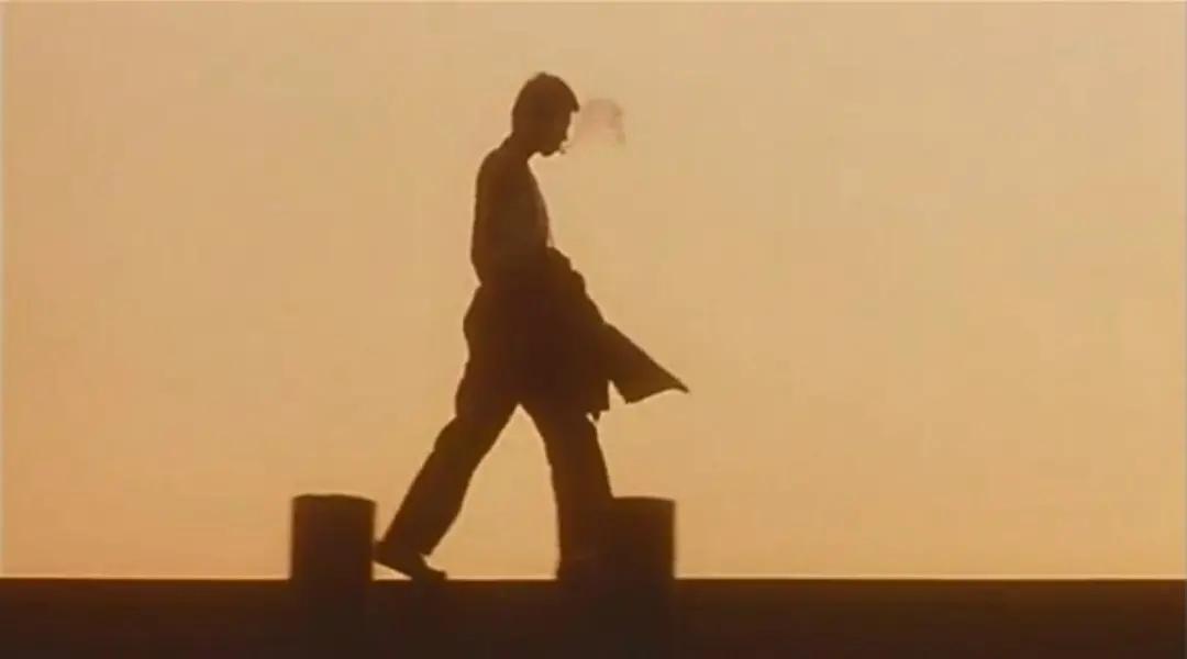 残酷的永远不是现实而是人心,残酷的不是人心而是生活