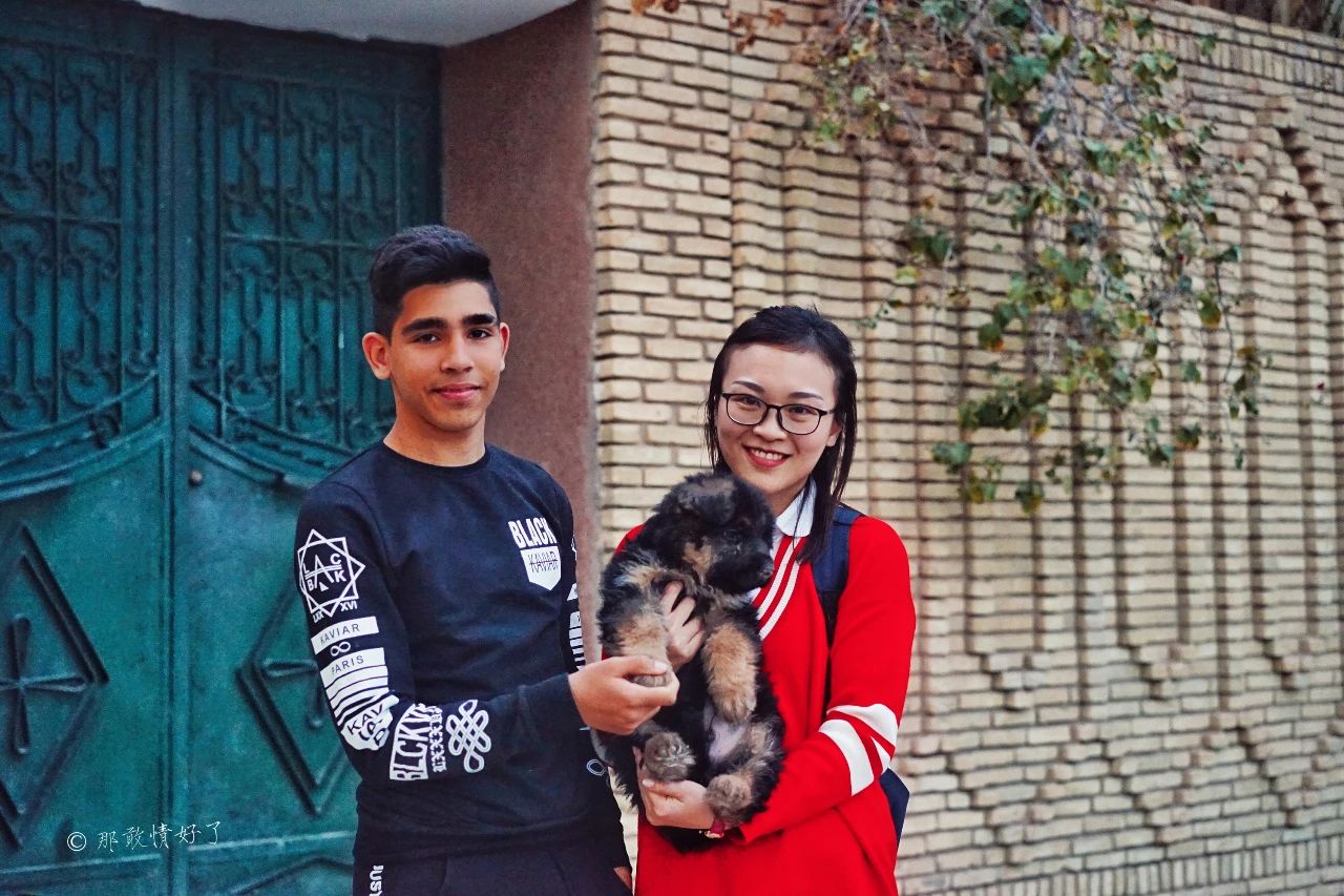 摩洛哥突尼斯旅游,与摩洛哥接壤的国家